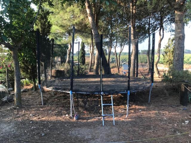 Séjour à la campagne La Navarra Villarrobledo