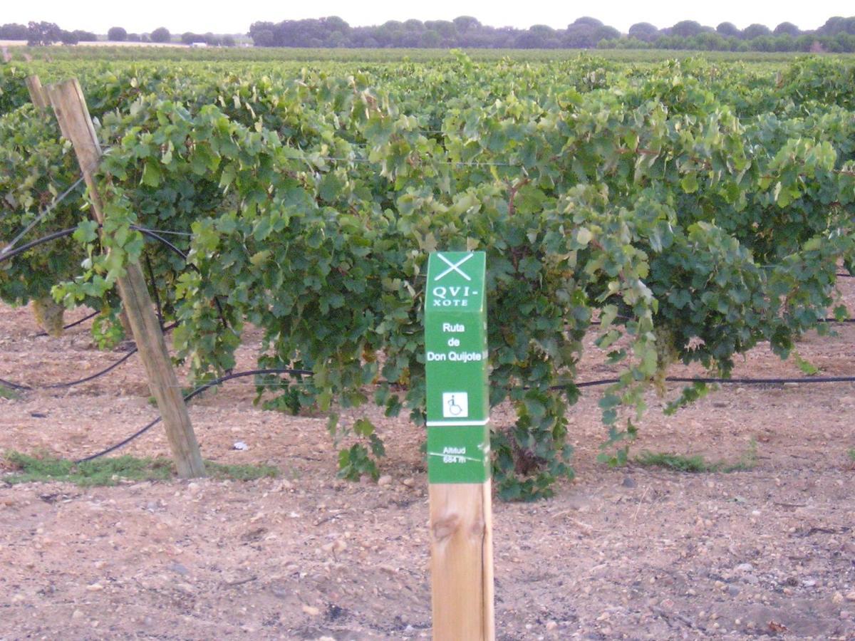 Séjour à la campagne La Navarra Villarrobledo