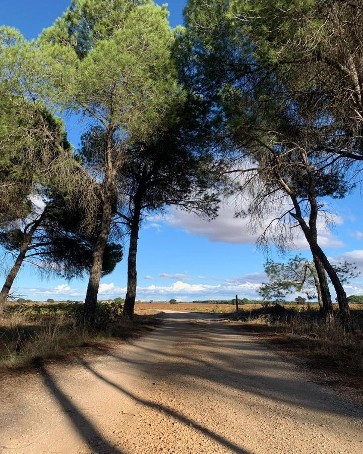 Casa Rural La Navarra Country house
