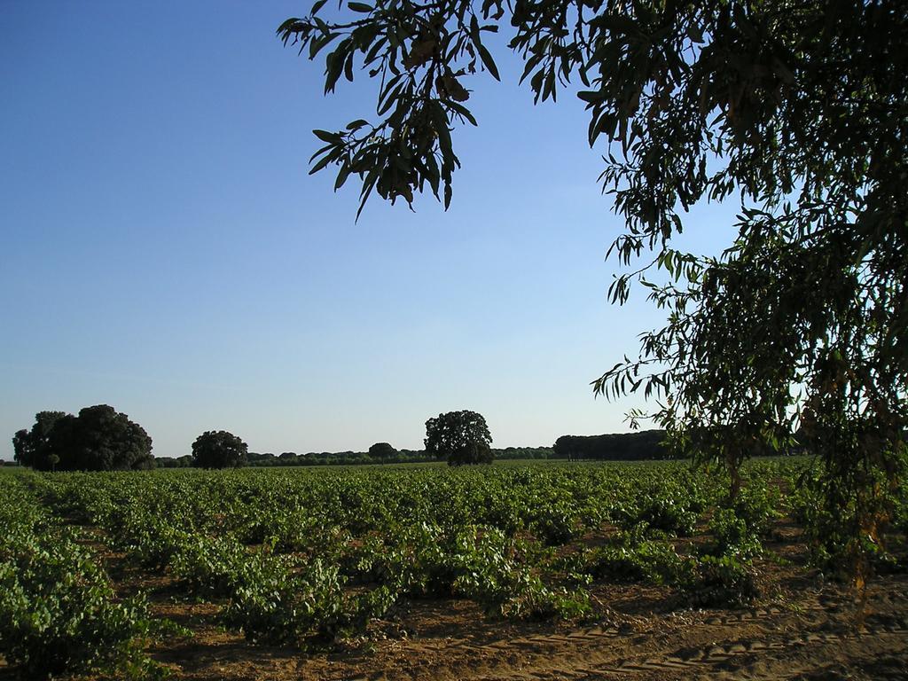 La Navarra