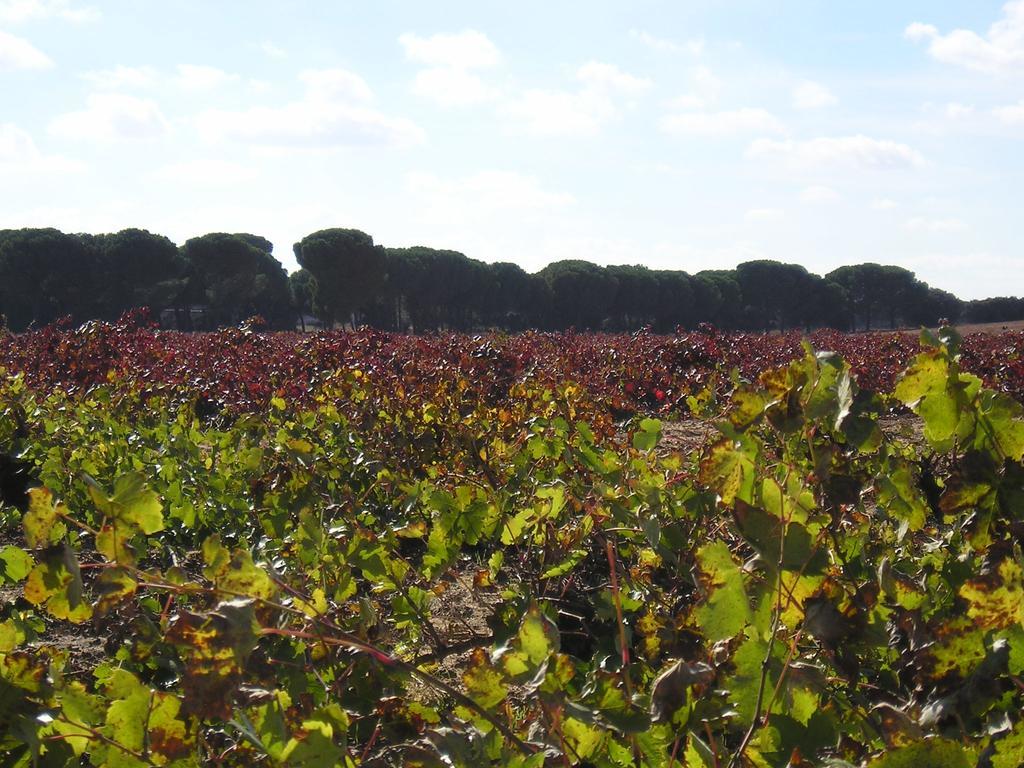 Séjour à la campagne La Navarra *